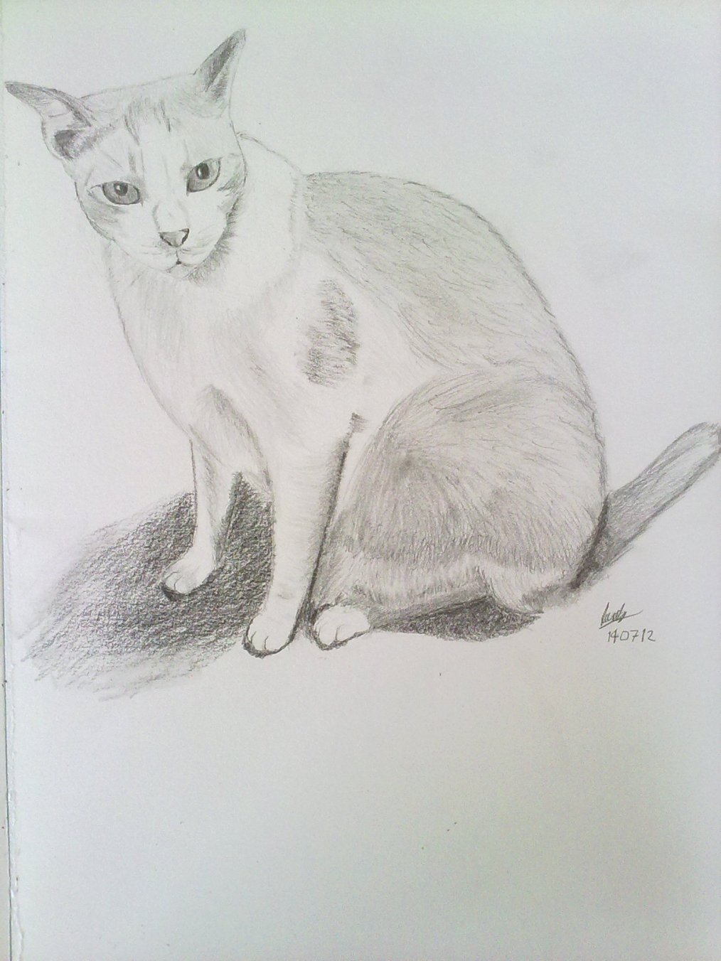 Ginger, the Stray Cat | Kai Can Sketch